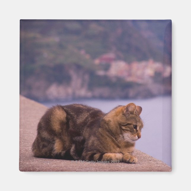 Corniglia, Cinque Terre, Italien Magnet (Framsidan)