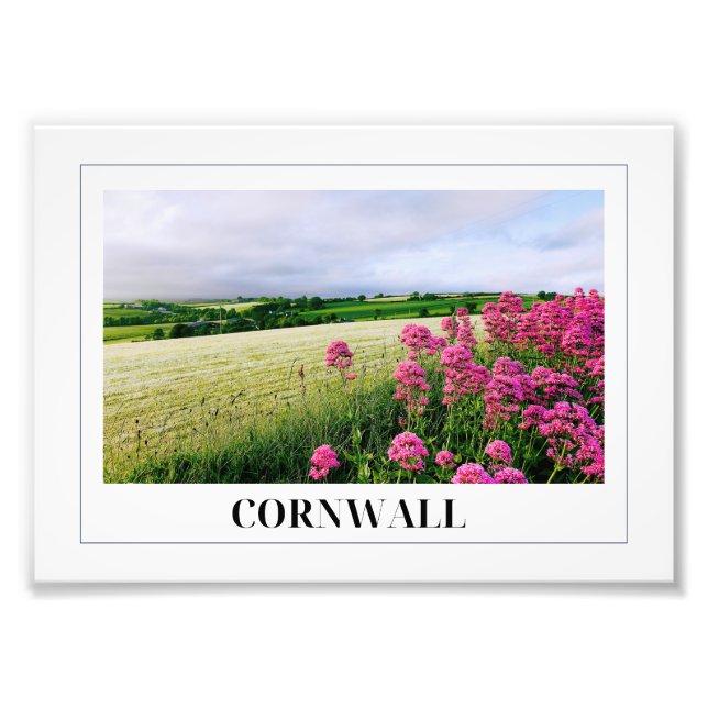 Cornish Countryside, Lanteglos, Cornwall Fototryck (Framsidan)