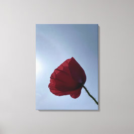 Cornish red poppy med grått himlar canvastryck