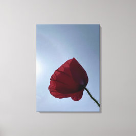 Cornish red poppy med grått himlar canvastryck