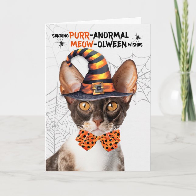 Cornish Rex Halloween Cat PURRanormal MEOWolween Helgkort (Framsida)
