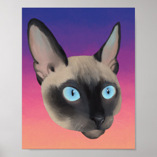 Cornish Rex Kitten Porträtt Poster