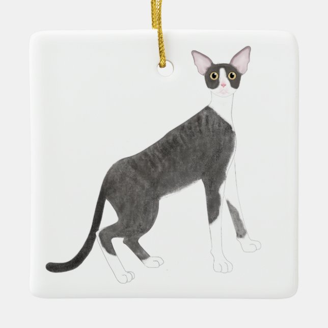 Cornish Rex Ornament (Framsida)