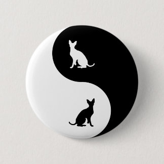 Cornish Rex Yin Yang Knapp