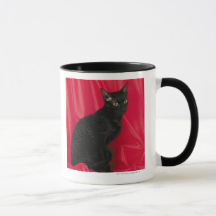 Cornish rexkatt mugg