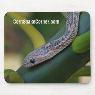 CornSnakeCorner Mousepad Musmatta