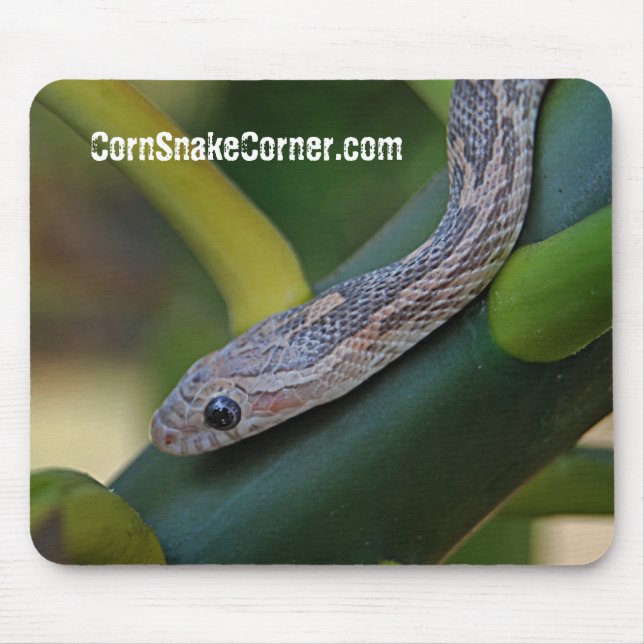 CornSnakeCorner Mousepad Musmatta (Framsidan)
