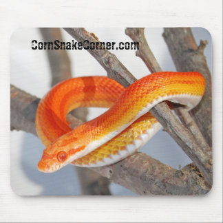 CornSnakeCorner Mousepad Musmatta