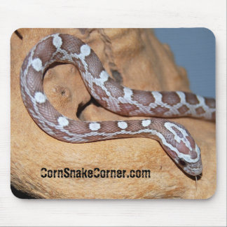 CornSnakeCorner skräddarsy Mousepad - Musmatta