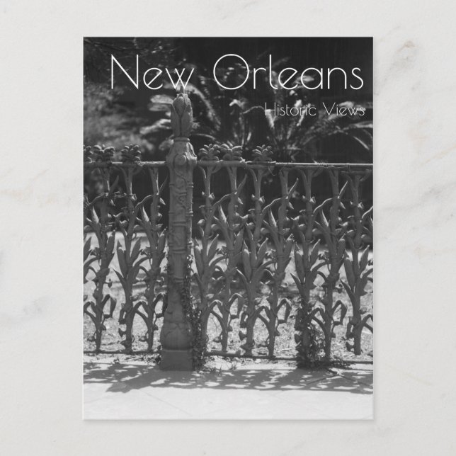 Cornstalk Wrodry Järn Fence Vykort (Framsida)