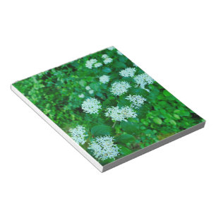 Cornus sanguinea anteckningsblock