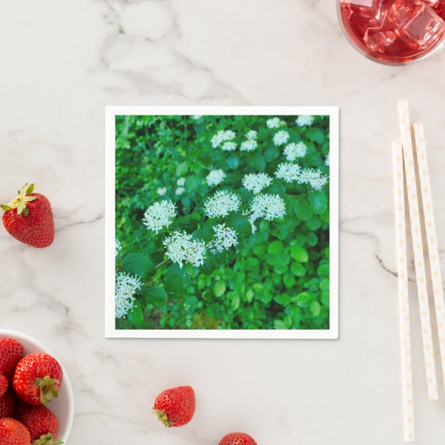 Cornus sanguinea Papper Napkins Pappersservett (Insitu)