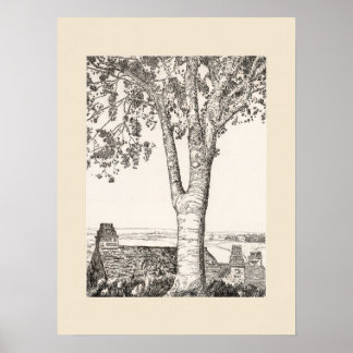 Cornwall Landskapsutskrift, Eleanor Hughes Nytryck Poster