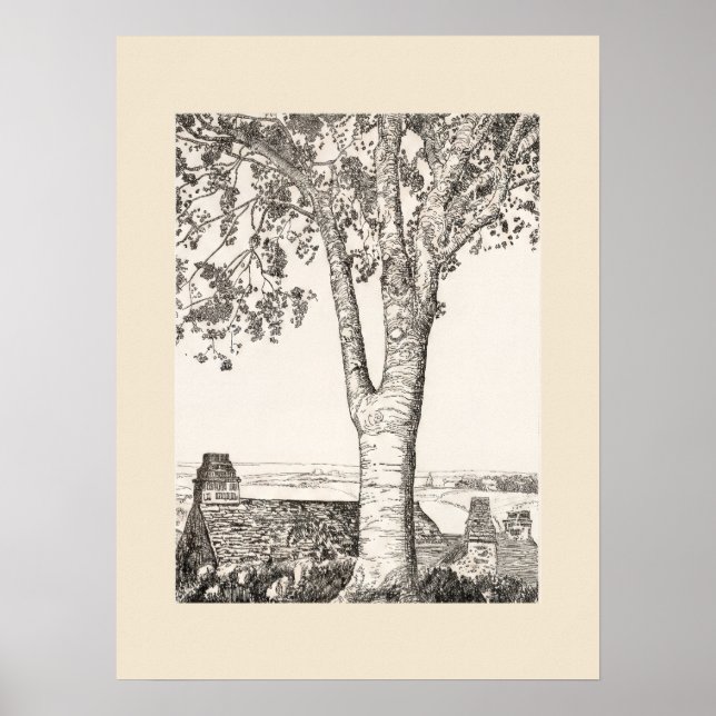 Cornwall Landskapsutskrift, Eleanor Hughes Nytryck Poster (Framsidan)