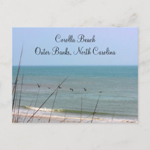 Corolla Beach OBX-vykort Vykort