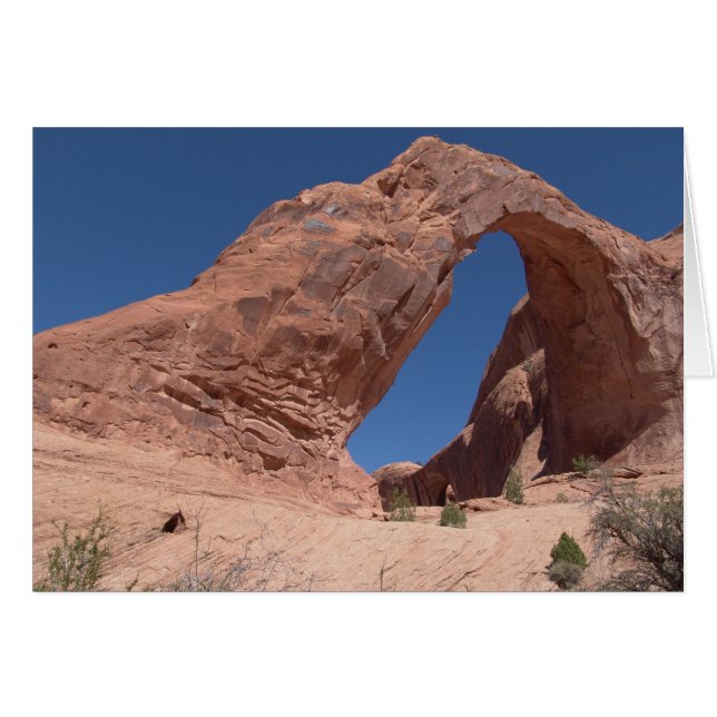 Corona Arch, Moab Utah Hälsningskort (Framsidan Horizontal)