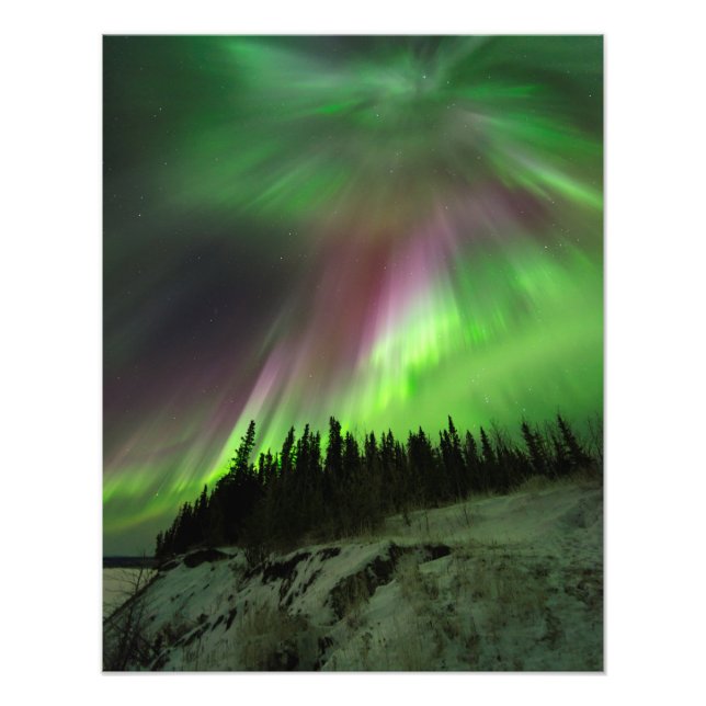 Corona Aurora Fototryck (Framsidan)