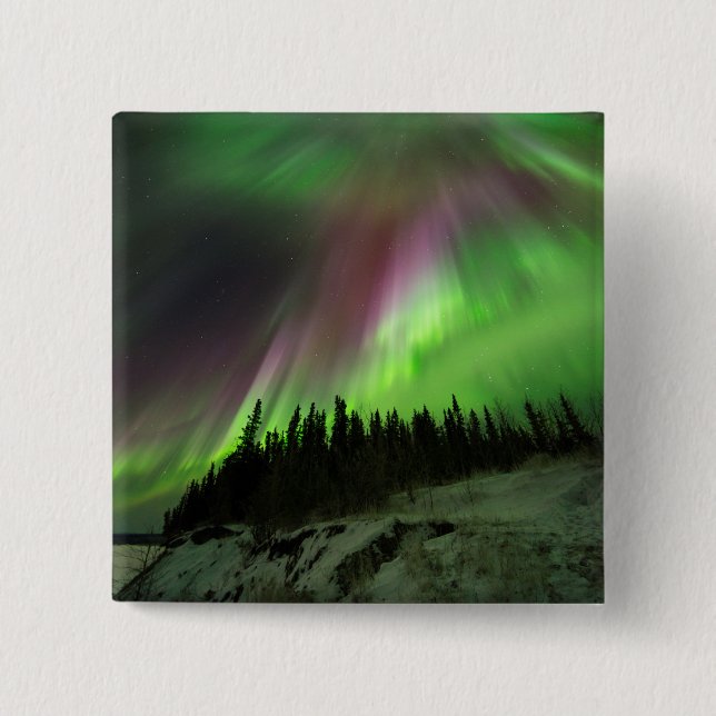 Corona Aurora Knapp (Framsida)