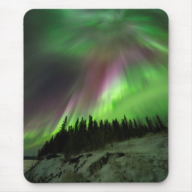 Corona Aurora Musmatta (Framsidan)