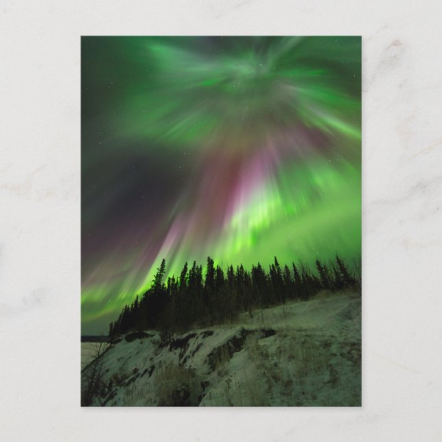 Corona Aurora Vykort (Framsida)