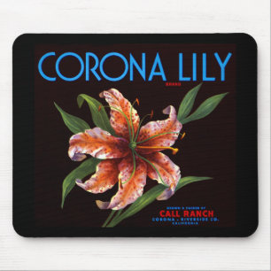 Corona Lily Musmatta