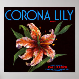 Corona Lily Poster