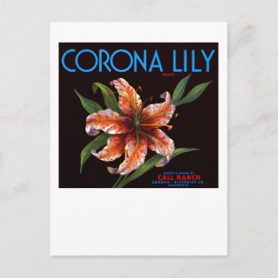 Corona Lily Vykort