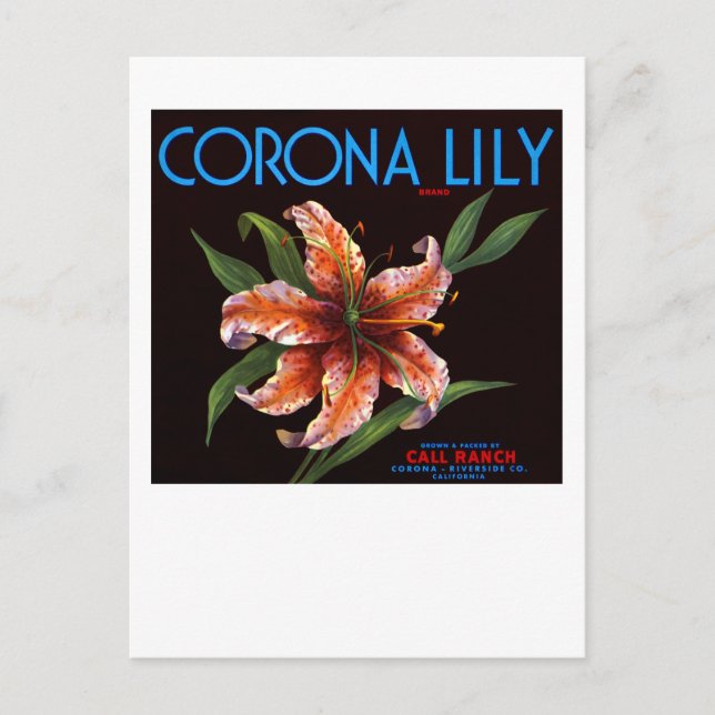 Corona Lily Vykort (Framsida)