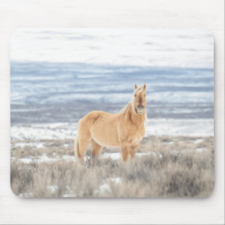 Corona-musmatta Musmatta