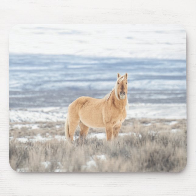 Corona-musmatta Musmatta (Framsidan)