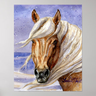 Corona of Sand Tvättar Basin HMA Colorado Poster