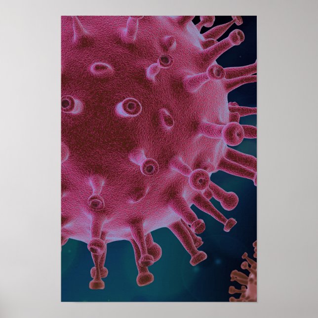 Corona Virus Microbiology Poster (Framsidan)