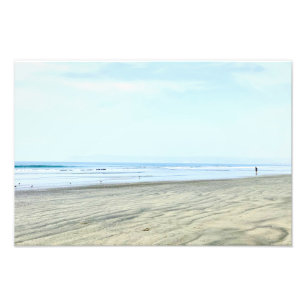 Coronado Beach California Photo Fototryck