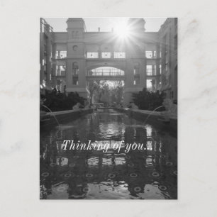 Coronado Sunburst Grayscale Thinking Vykort
