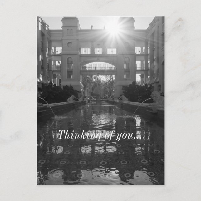 Coronado Sunburst Grayscale Thinking Vykort (Framsida)