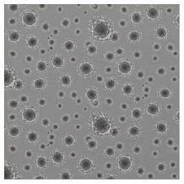Coronavirus - Grått Tyg