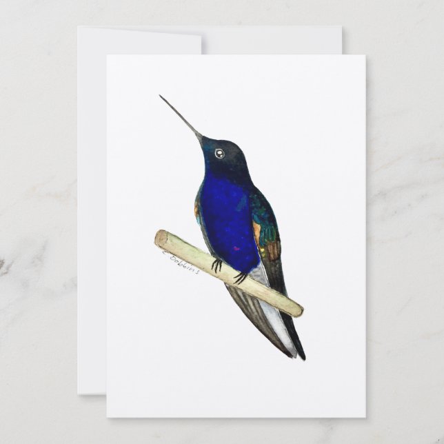 Coronet Hummingbird Card Tack Kort (Framsida)