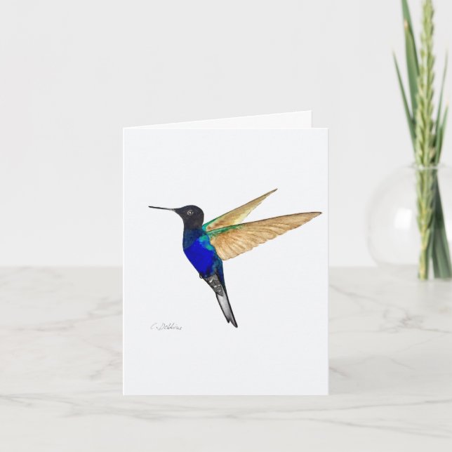 Coronet Hummingbird Greeting Card Kort (Framsida)