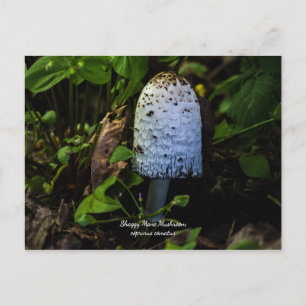 Corpinus Comatus ’Shaggy Mushroom’ Postcard Helg Vykort