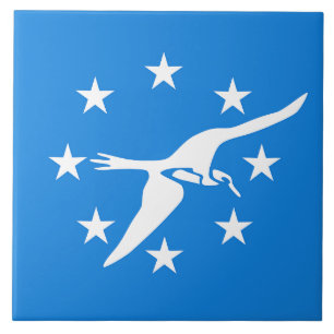 Corpus Christi City Flagga Tile Kakelplatta