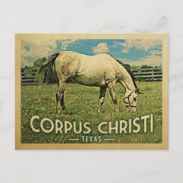 Corpus Christi Texas Horse Farm - Vintage resor Vykort