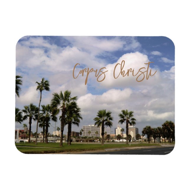 Corpus Christi, Texas Souvenir Magnet (Horisontell)
