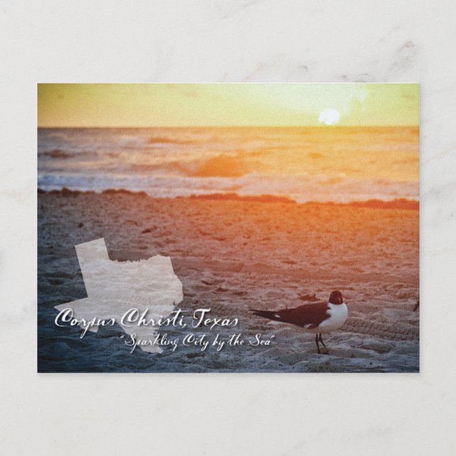 Corpus Christi, Texas vykort (Framsida)