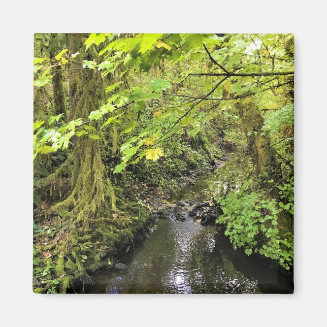 Corral Bäck, Oregon Magnet (Framsidan)