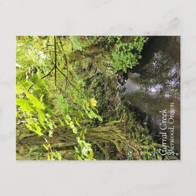 Corral Bäck Vykort (Framsida)