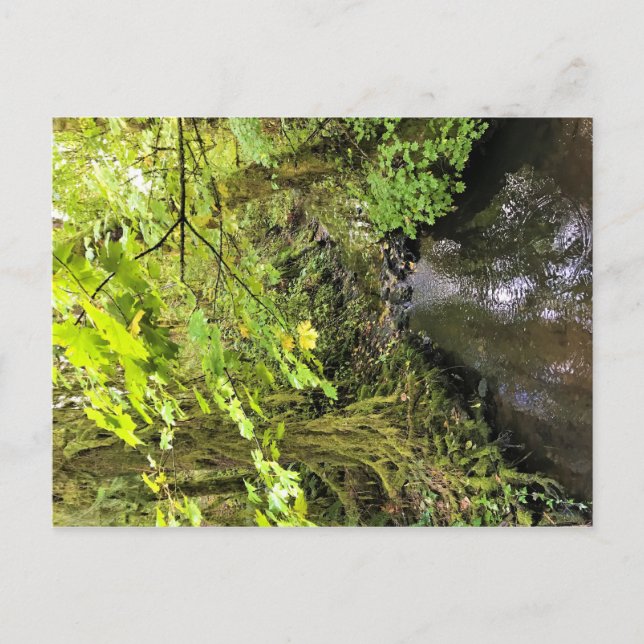 Corral Bäck Vykort (Framsida)