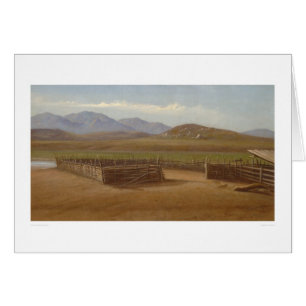 Corral Rancho Santa Margarita (1162) Hälsningskort