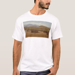 Corral Rancho Santa Margarita (1162) Tee Shirt