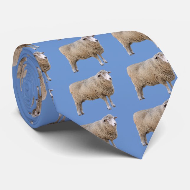 Corriedale sheep slips (Rullad)