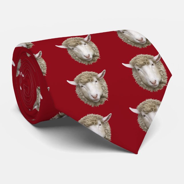 Corriedale sheep slips (Rullad)